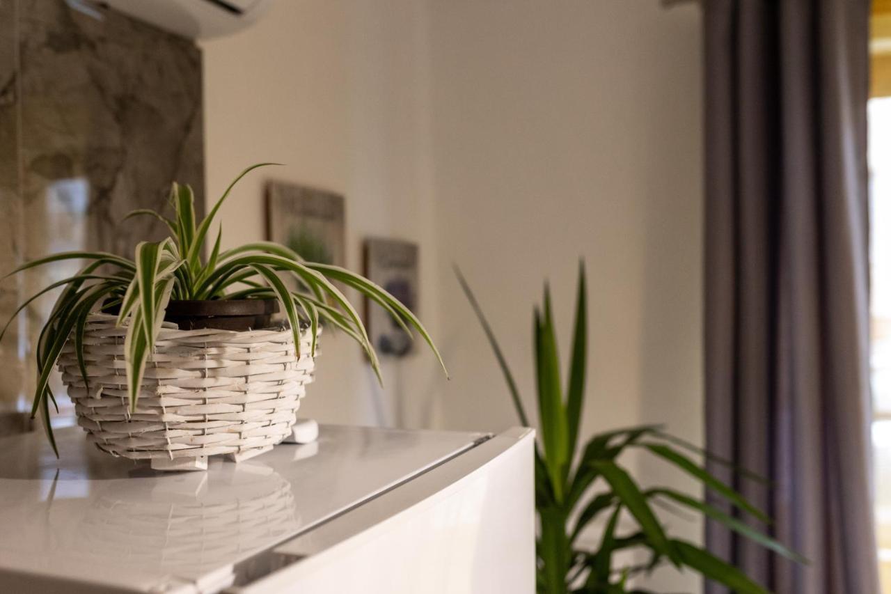 Studio Apartman Planb, Self Check In โอซีเยก ภายนอก รูปภาพ